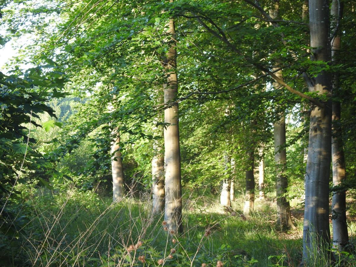 Aa Strand Camping Ebberup Экстерьер фото